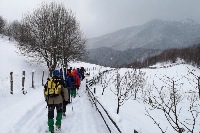 Winter Hiking Course